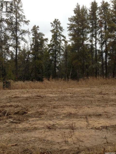 2-3 lot 1.46 acre, Hudson Bay Rm No. 394, photo 6