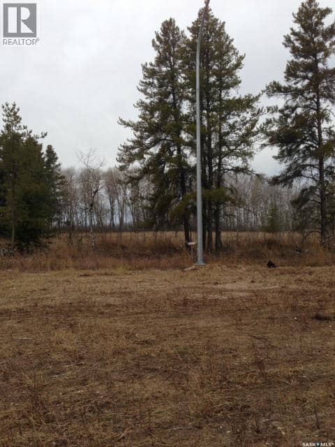 2-3 lot 1.46 acre, Hudson Bay Rm No. 394, photo 5