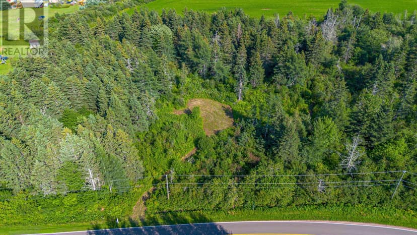 ACREAGE MONT CARMEL Road — photo 20 of 28