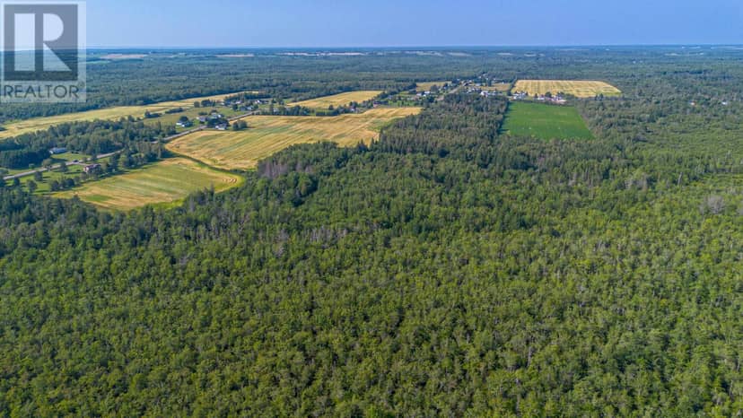 ACREAGE MONT CARMEL Road — photo 11 of 28