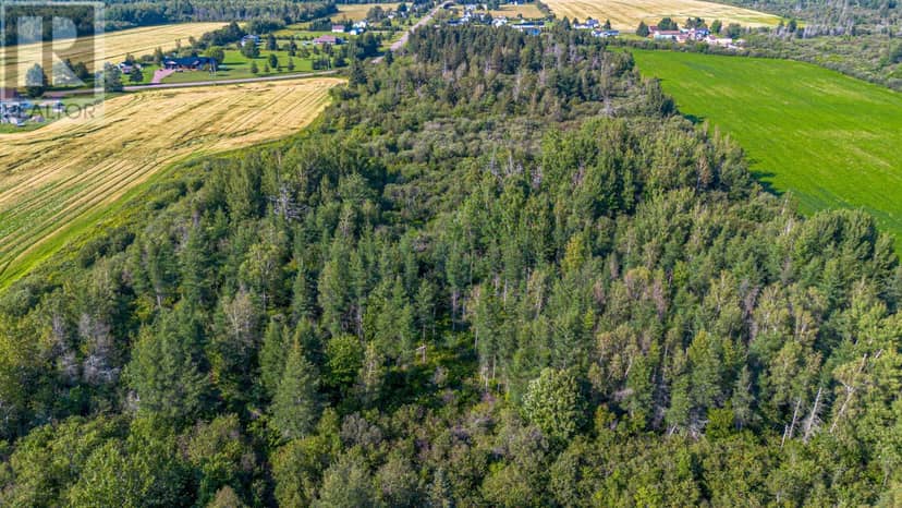 ACREAGE MONT CARMEL Road — photo 17 of 28