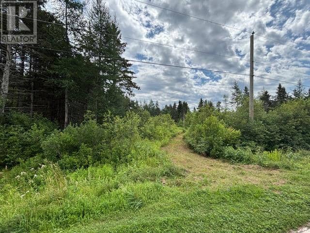 ACREAGE MONT CARMEL Road — photo 28 of 28