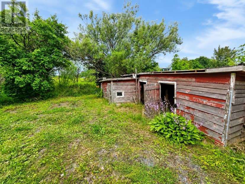 31 Church Road, Conception Bay South, photo 5
