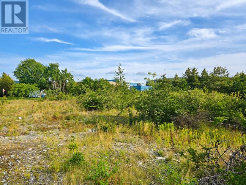 23-25 Hiscock's Lane, Conception Bay South, photo 4