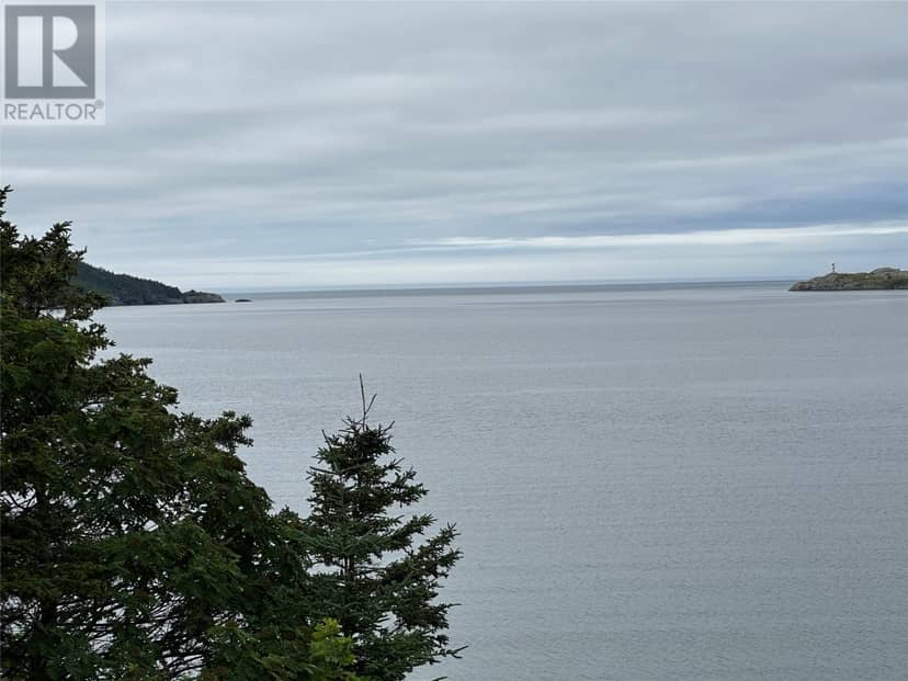 80-82 Cove Road, Hearts Content, photo 6