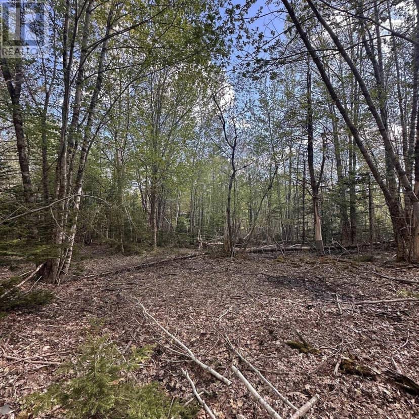 76 Wellington Road — photo 11 of 15