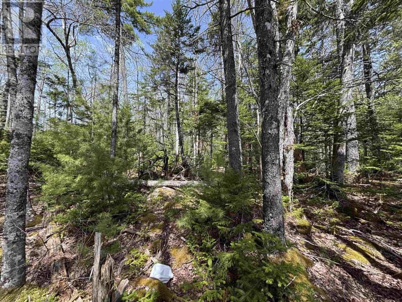 Lot 6-23 Highway 325 — photo 4 of 11