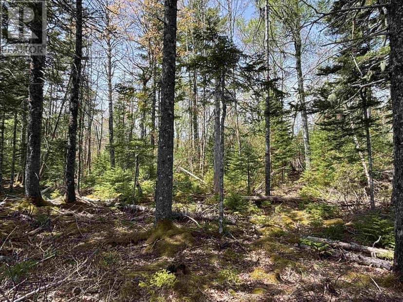 Lot 6-23 Highway 325 — photo 5 of 11
