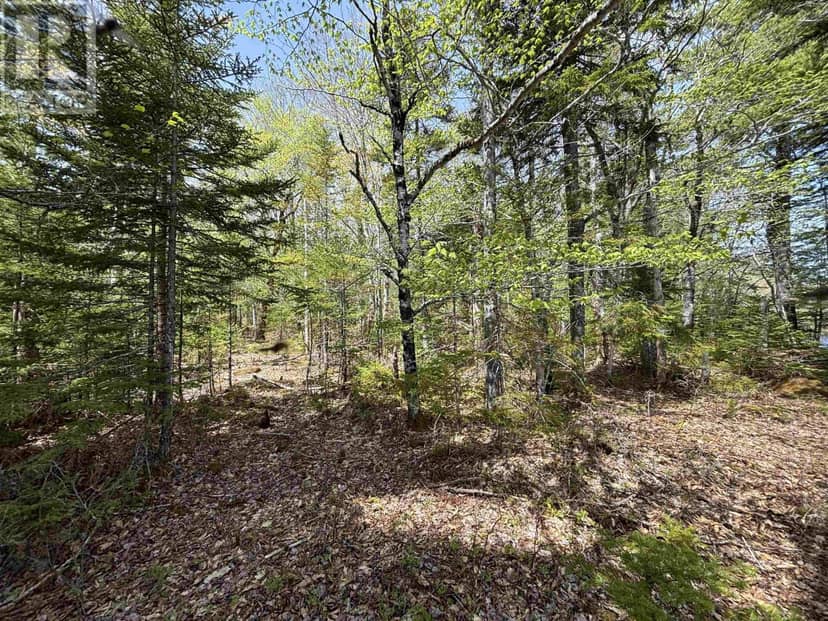 Lot 4-23 Highway 325 — photo 10 of 20