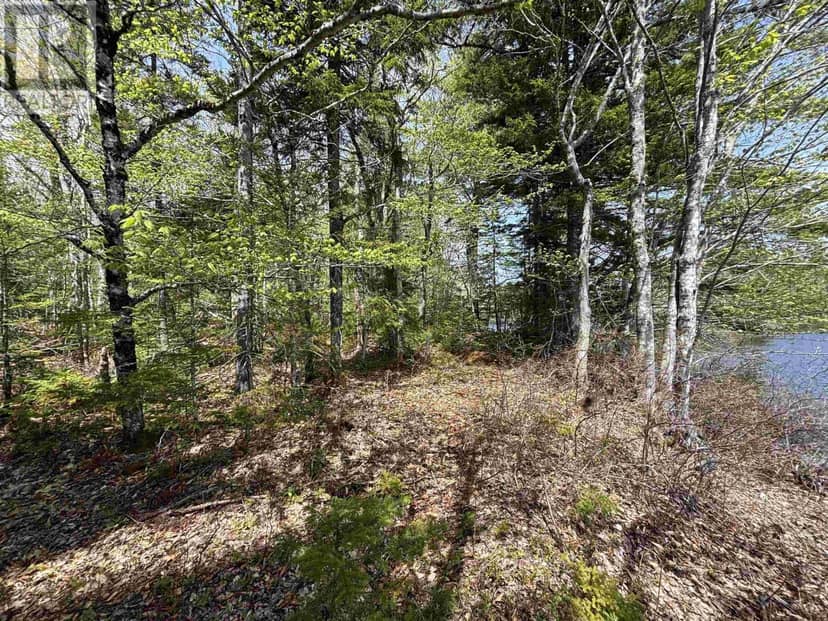Lot 4-23 Highway 325 — photo 9 of 20