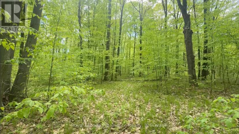 207 Middle Ridge Road — photo 3 of 18