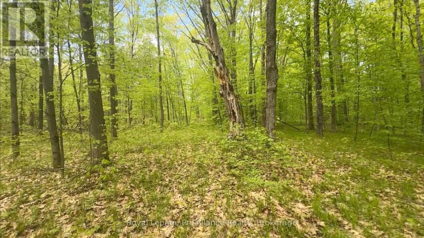 207 Middle Ridge Road — photo 4 of 18