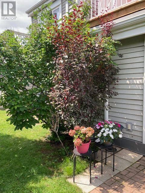 131 - 55 Trott Boulevard — photo 21 of 28