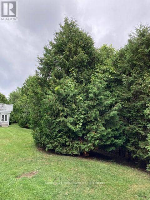 131 - 55 Trott Boulevard — photo 26 of 28