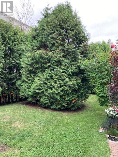 131 - 55 Trott Boulevard — photo 27 of 28