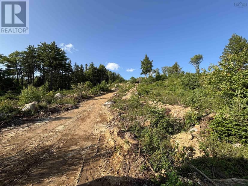 Lot 3 Albany New Road — photo 4 of 5