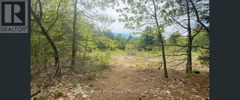 207 Middle Ridge Road — photo 9 of 18