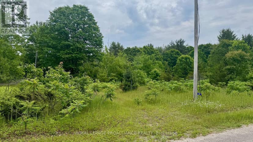 207 Middle Ridge Road — photo 15 of 18