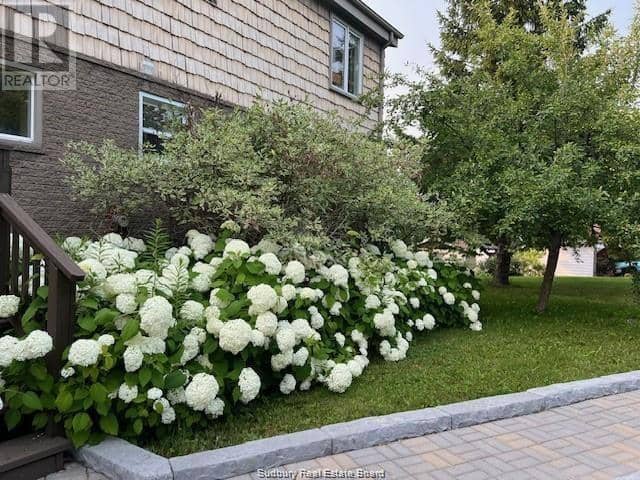 48 Wala Street — photo 22 of 27