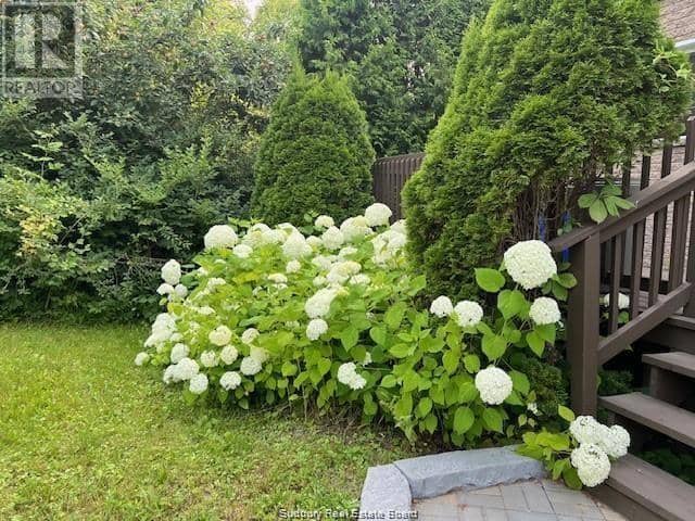 48 Wala Street — photo 23 of 27