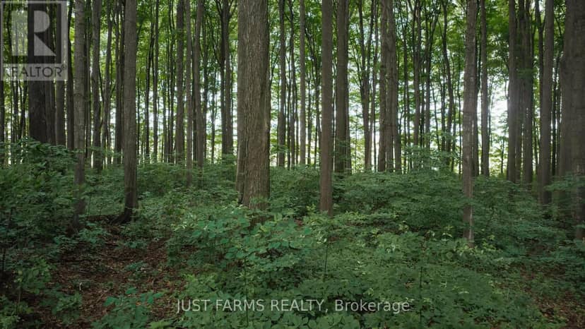 4881 Bruce Road 4 Road — photo 11 of 40