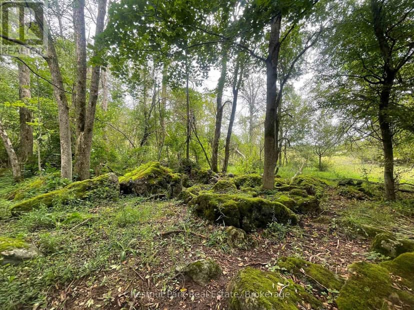 Pt Lt 25 Purple Valley Road, South Bruce Peninsula, photo 5