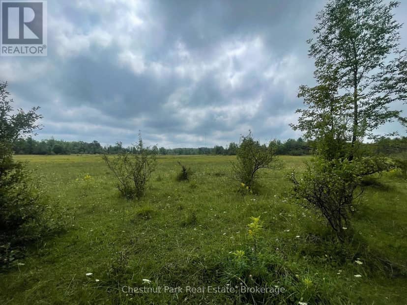 Pt Lt 25 Purple Valley Road, South Bruce Peninsula, photo 6