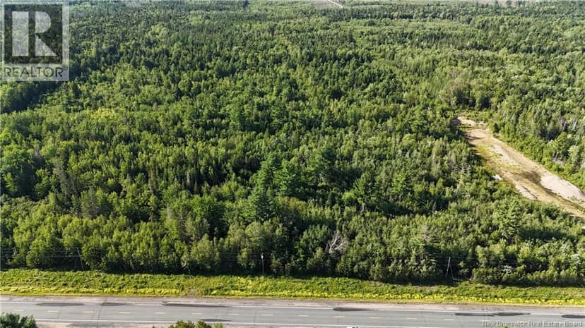 Woodlot Route 8 — photo 2 of 8