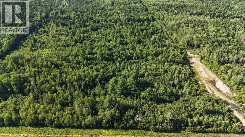 Woodlot Route 8 — photo 1 of 8