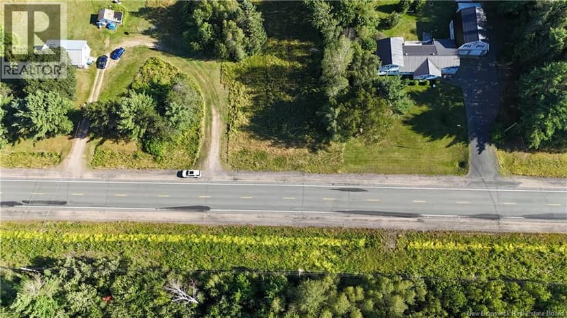 Woodlot Route 8 — photo 4 of 8