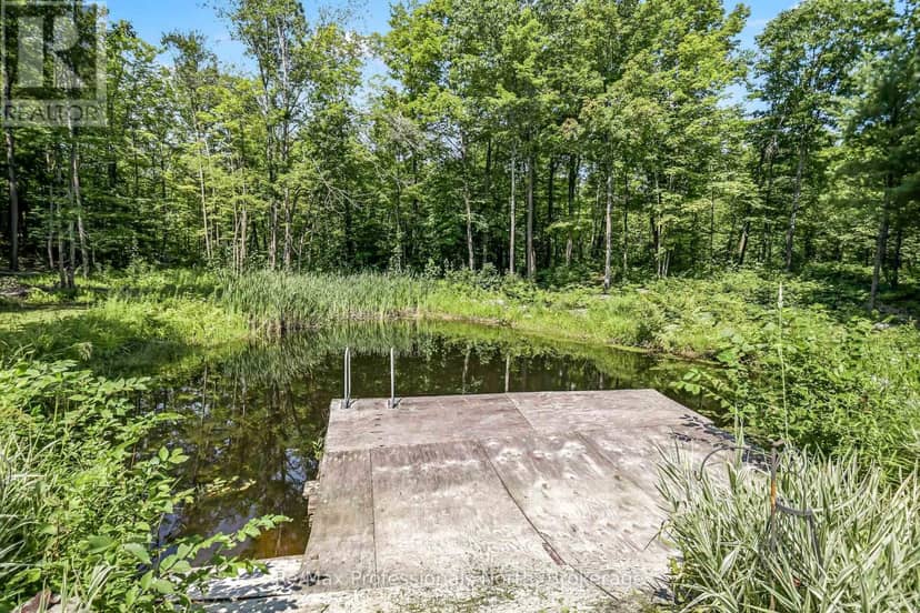 1017 Barlochan Road, Muskoka Lakes, photo 3