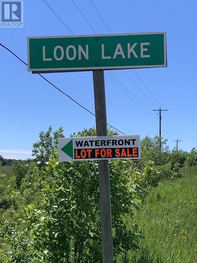 PL12C6 Dawson Loon Lake Road — photo 14 of 16