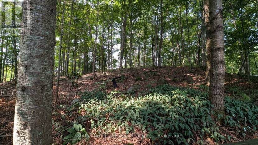213 Woodland Drive — photo 19 of 27