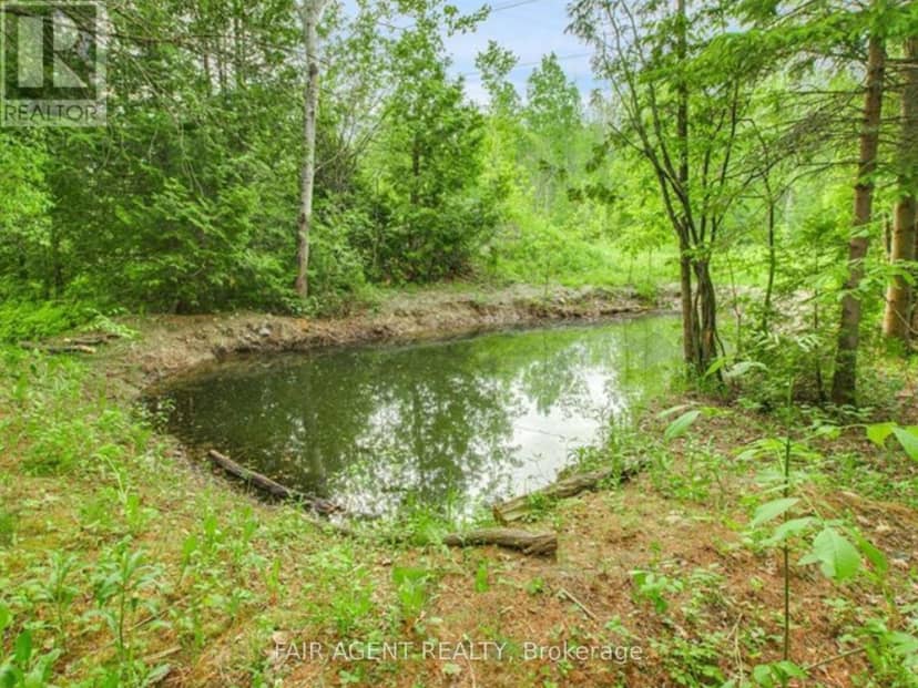 Pt LT16 North Lunenburg Road W, South Stormont, photo 7