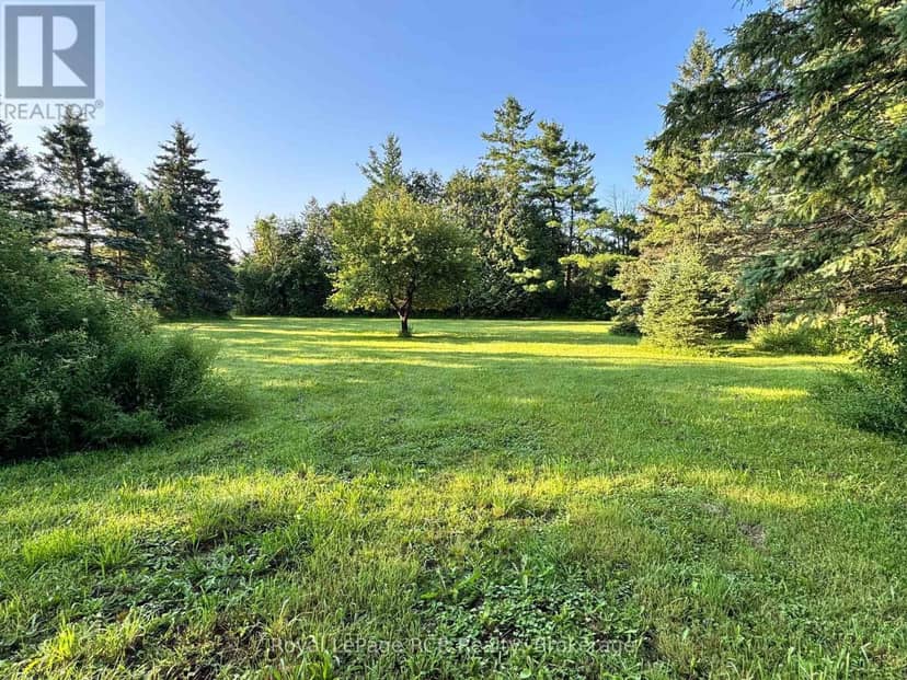 315134 Highway 6 — photo 37 of 40
