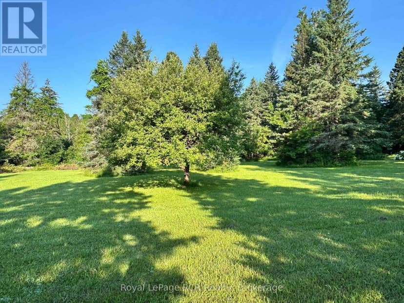315134 Highway 6 — photo 39 of 40