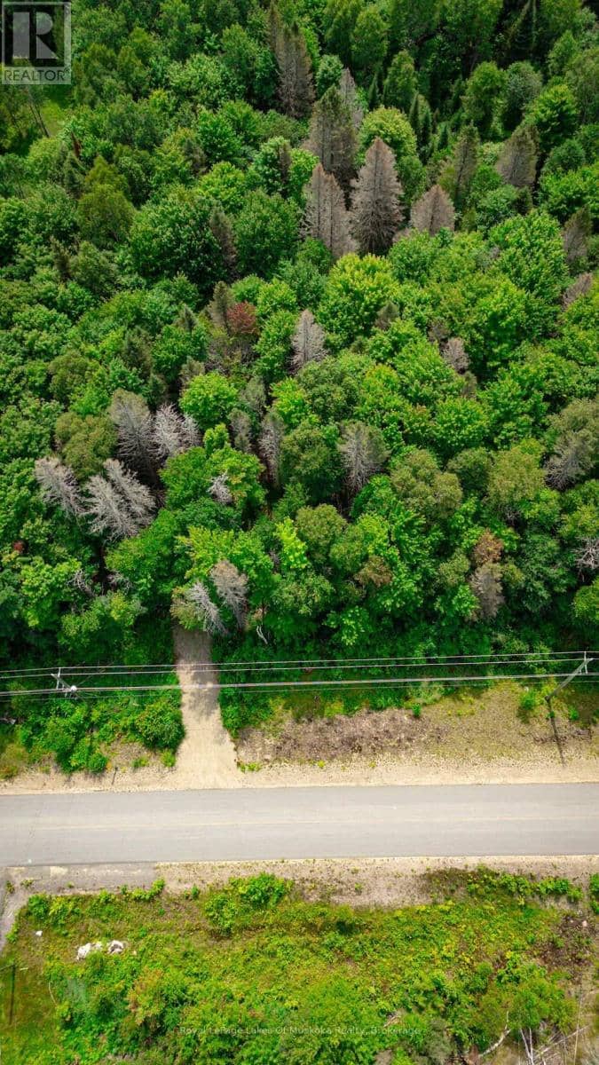 167 North Pickerel Lake Road, Armour, photo 3