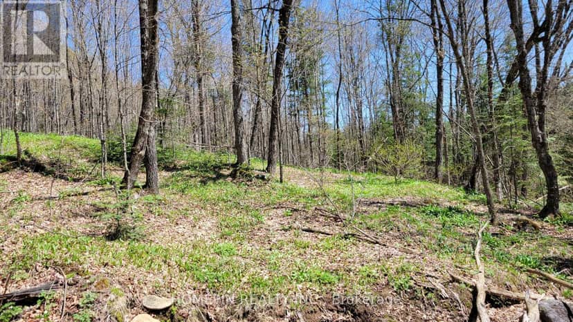 673 Buckshot Lake Road — photo 5 of 10
