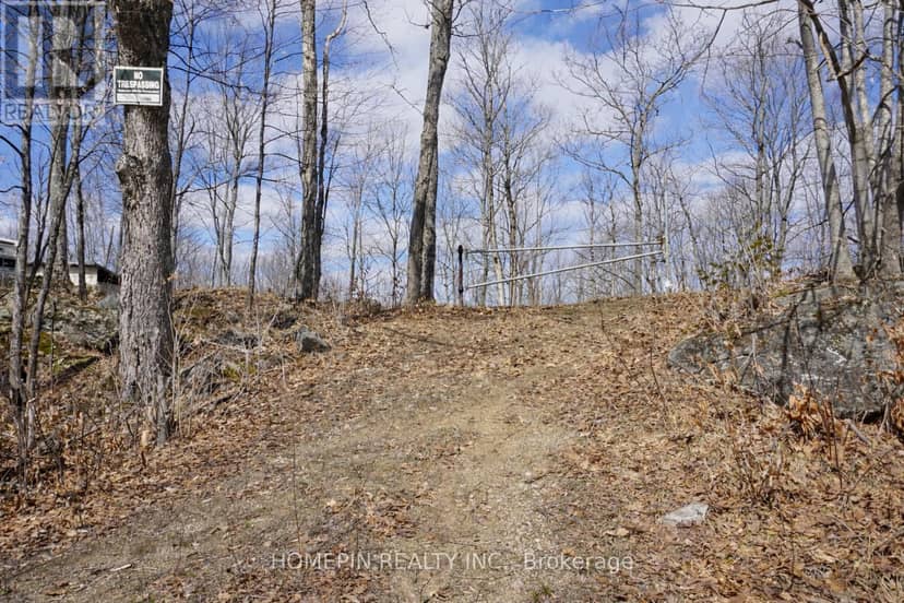 673 Buckshot Lake Road — photo 9 of 10