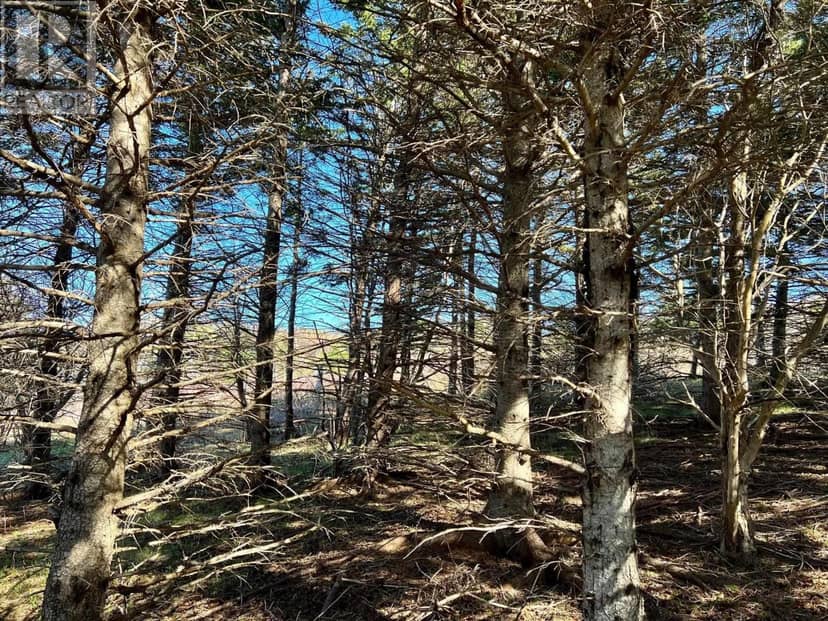 11838 Cabot Trail — photo 9 of 16