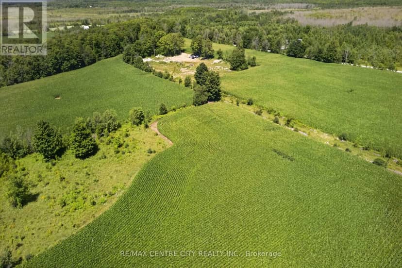 441408 Concession 21 Road — photo 6 of 40