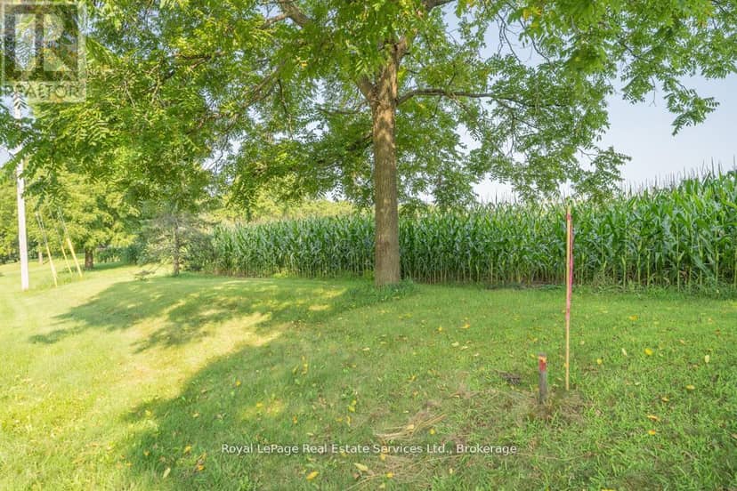 361 Robinson Road — photo 12 of 13