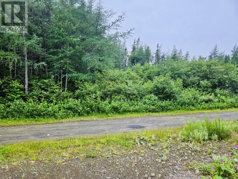 7 lot -Camp 4 Road — photo 1 of 12