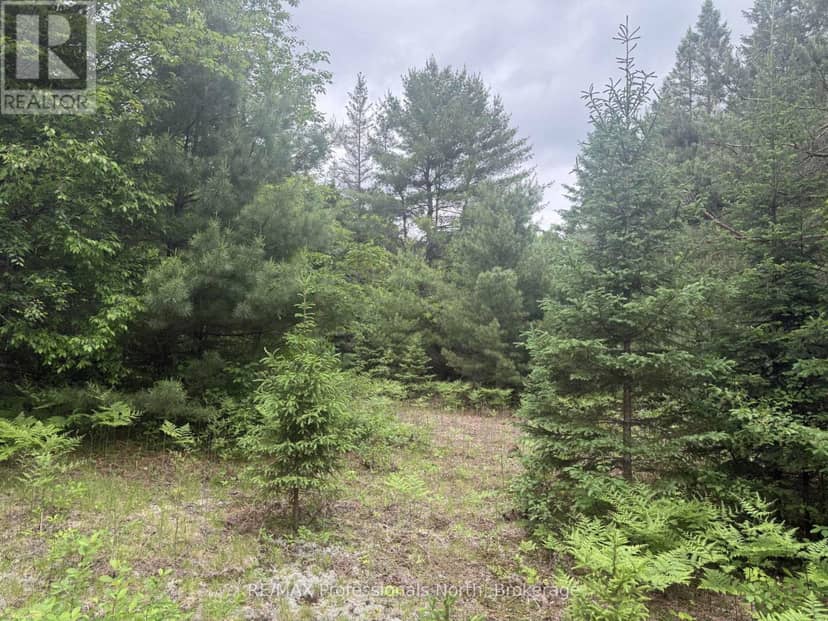 1313 Williamsport Road N — photo 10 of 13