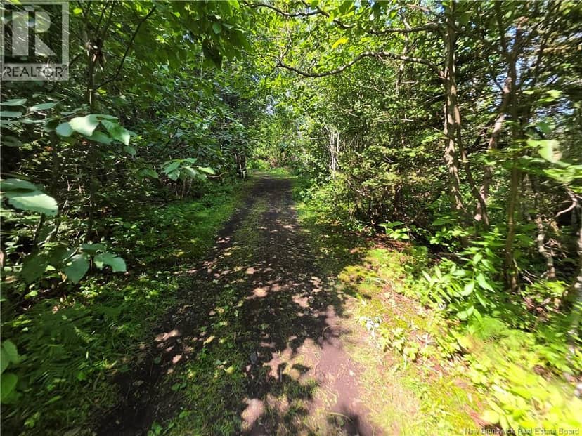 4.9 Acres Route 134 — photo 11 of 24