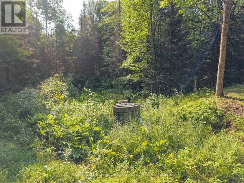 Lot 7 Part Of Lot 6 Con 5 Bonfield Road — photo 25 of 34