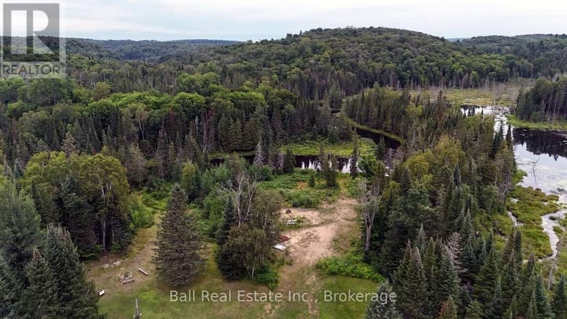 19573 Highway #118 Highway E, Highlands East, photo 6