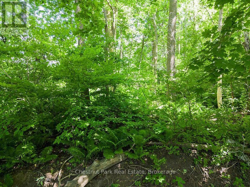 227 Eliza Street — photo 14 of 17