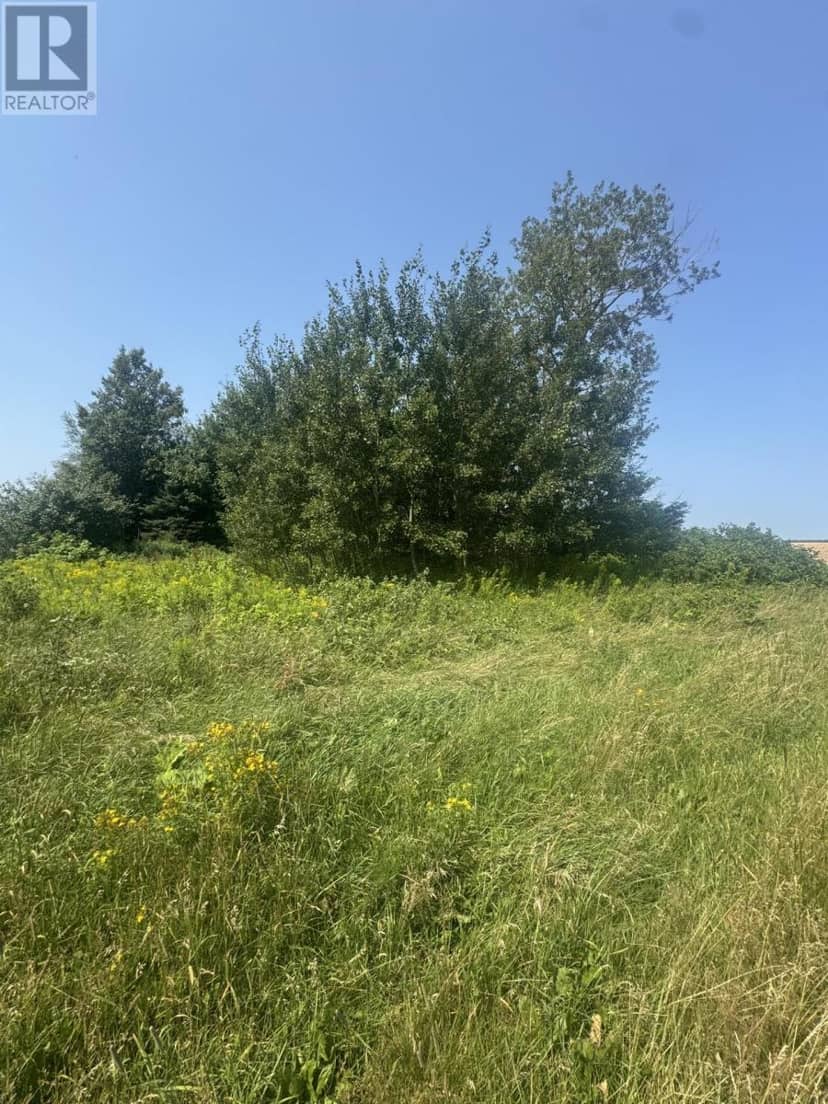 LOT BYRNES Road — photo 1 of 5