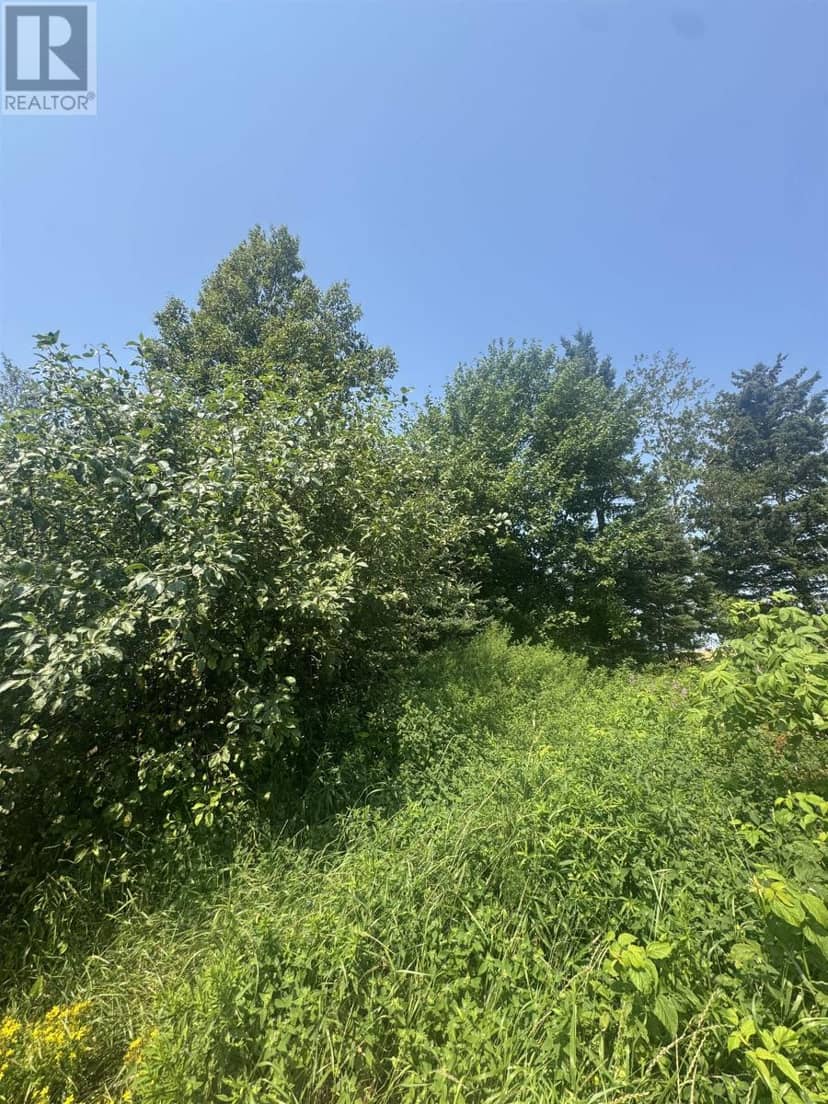 LOT BYRNES Road — photo 2 of 5